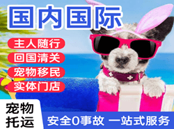 朝阳空运地址国际宠物托运 【国